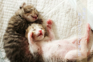 年末年始の営業について